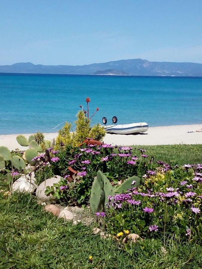 Cozy Maisonette In Pefkochori Chalkidiki Exteriér fotografie