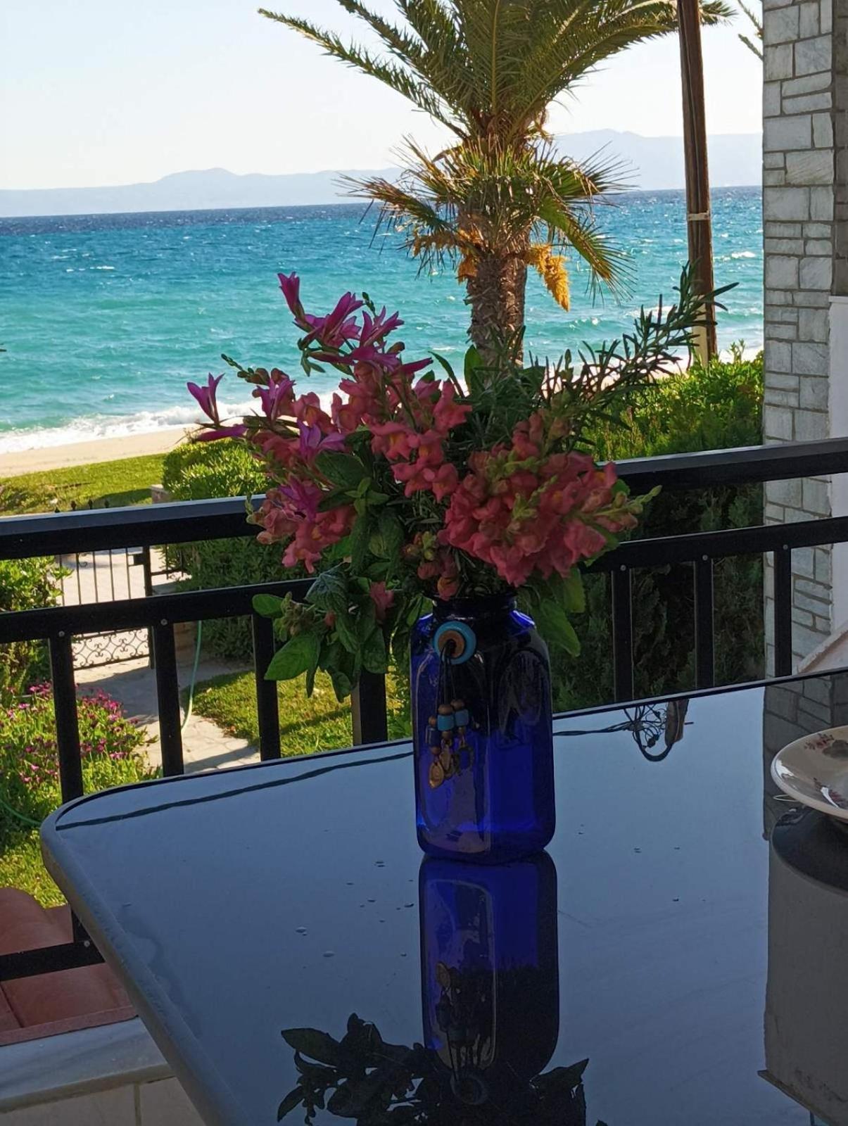 Cozy Maisonette In Pefkochori Chalkidiki Exteriér fotografie